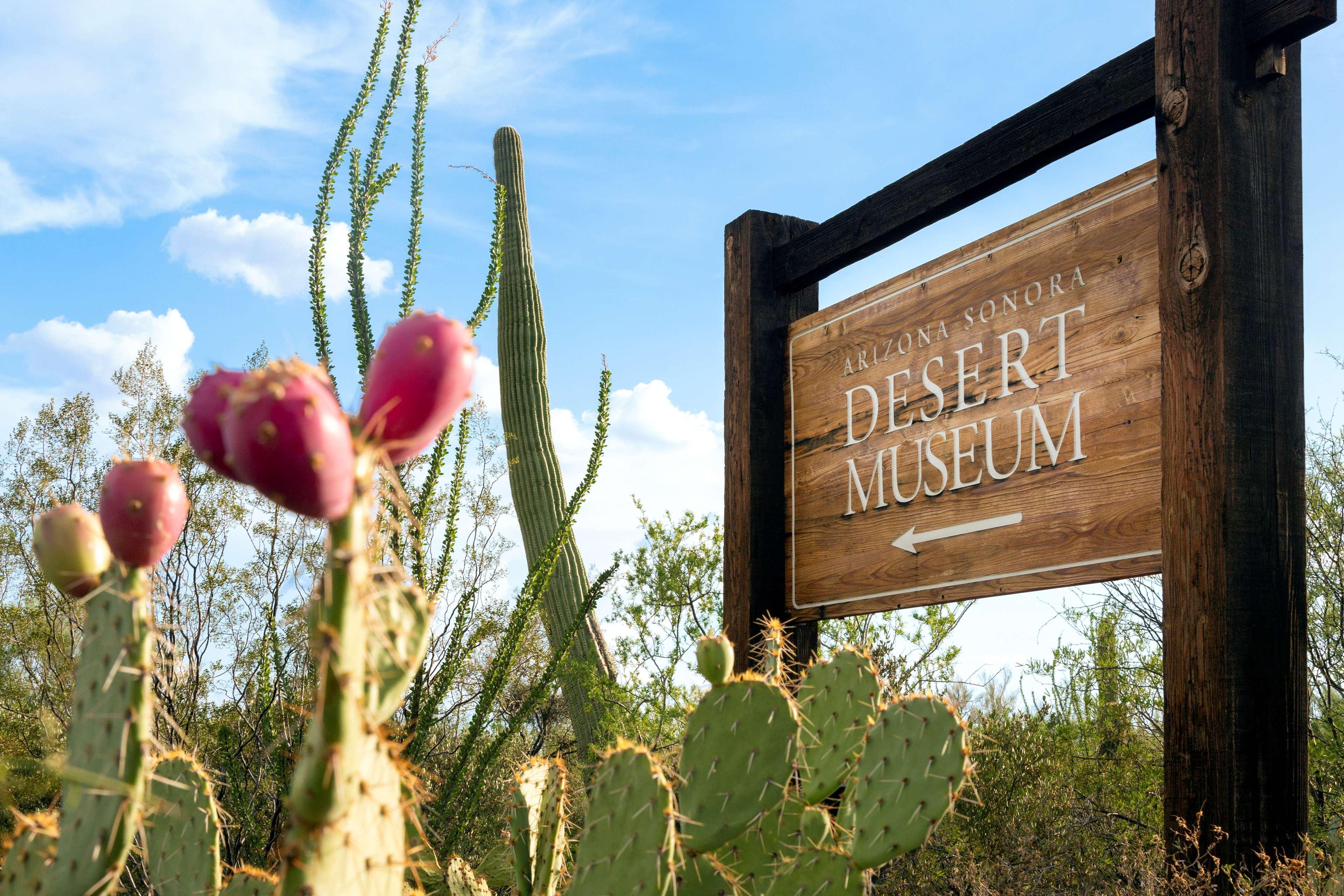 Hyatt Place Tucson Central Экстерьер фото